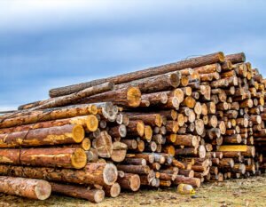 Teakwood