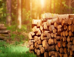 Teakwood